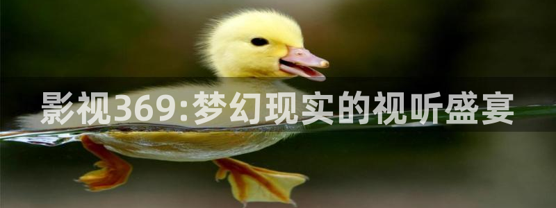 5g影院天天影院天天爽影院网站